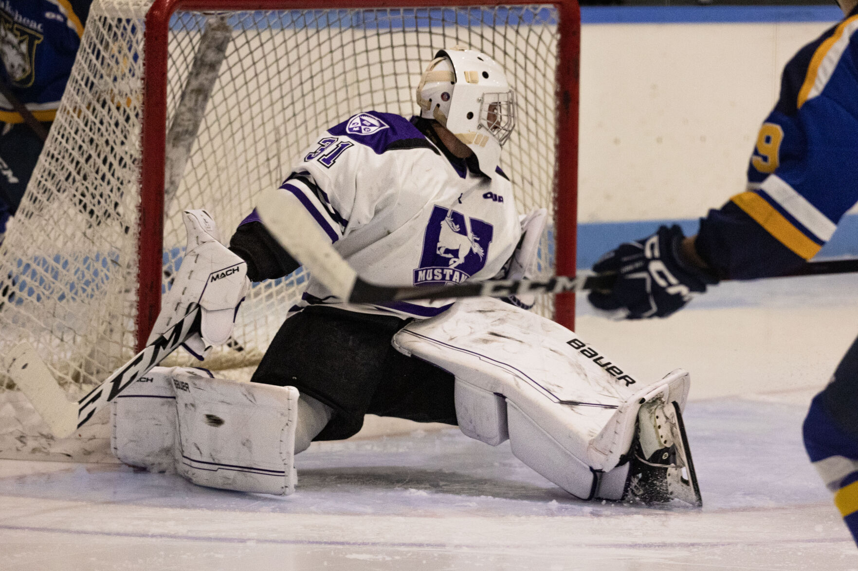 Mens Hockey vs Lakehead 4